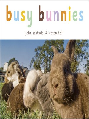 cover image of Busy Bunnies